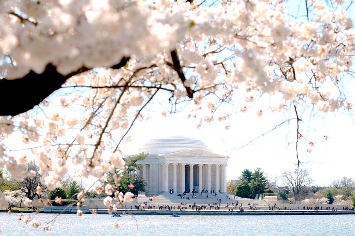 Rundtur till Washington DC:s landmärken inklusive monument, National Mall och båtkryssning på Potomacfloden, foto 7 | wizardtrip