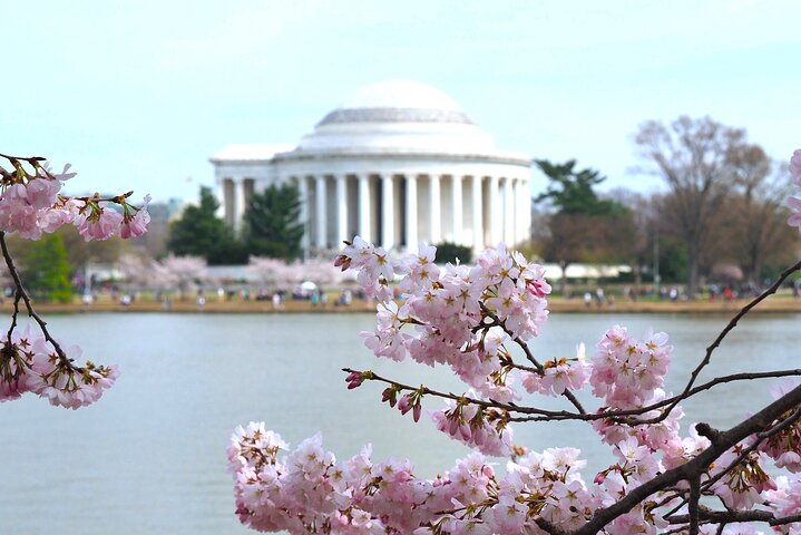 Rundtur till Washington DC:s landmärken inklusive monument, National Mall och båtkryssning på Potomacfloden, foto 23 | wizardtrip