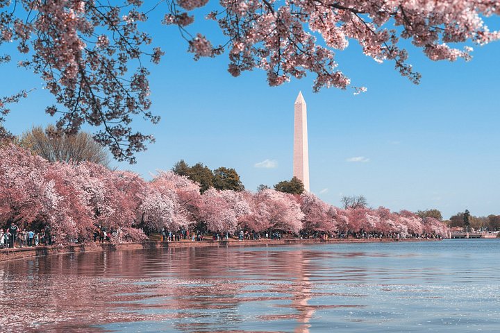 Rundtur till Washington DC:s landmärken inklusive monument, National Mall och båtkryssning på Potomacfloden, foto 27 | wizardtrip