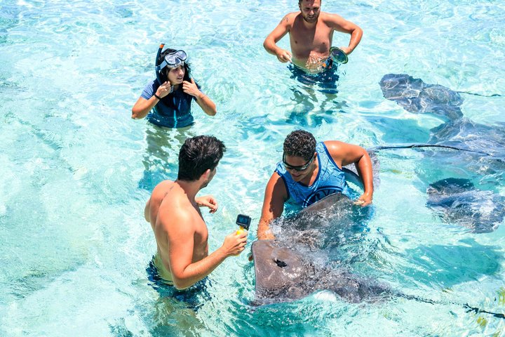 Heldagskryssning i Bora Boras lagun med snorkling, möte med hajar och rockor samt lunch, foto 7 | wizardtrip