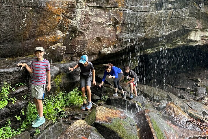 Jeep-tur til vandfald og naturskønne bjergudsigter i Asheville, USA, foto 7 | wizardtrip