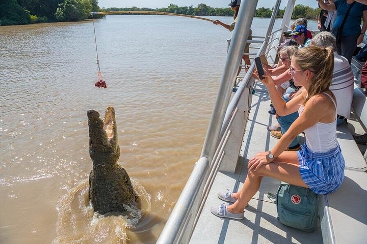 Tierwelt und alte Felsmalereien im Kakadu-Nationalpark, Darwin, Foto 17 | wizardtrip