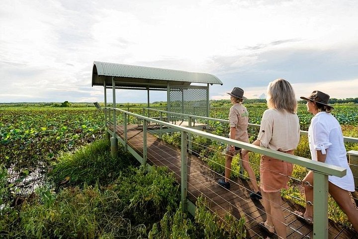 Tierwelt und alte Felsmalereien im Kakadu-Nationalpark, Darwin, Foto 18 | wizardtrip