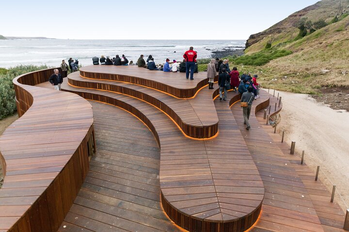 Philip Island Penguin Parade and Koala Reserve from Melbourne | wizardtrip