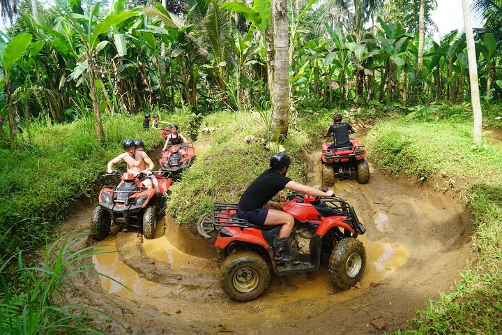 Ubud ATV Quad Bike Tour: Gorilla Cave & Jungle Adventure | wizardtrip