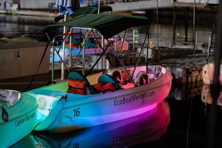 Nattlig pedalbåtutleie i San Diego Bay med neonlys og utsikt over byens skyline, foto 9 | wizardtrip