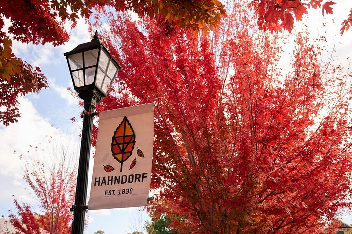 Heldagstur av Adelaides höjdpunkter, Hahndorf och McLaren Vale vinregion med provningar, foto 13 | wizardtrip