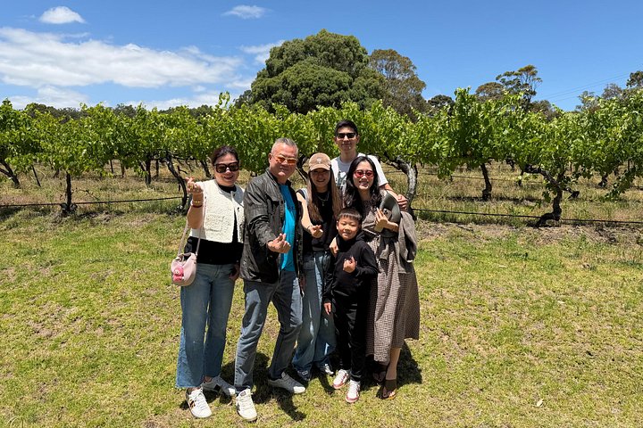 Heldagstur av Adelaides höjdpunkter, Hahndorf och McLaren Vale vinregion med provningar, foto 18 | wizardtrip