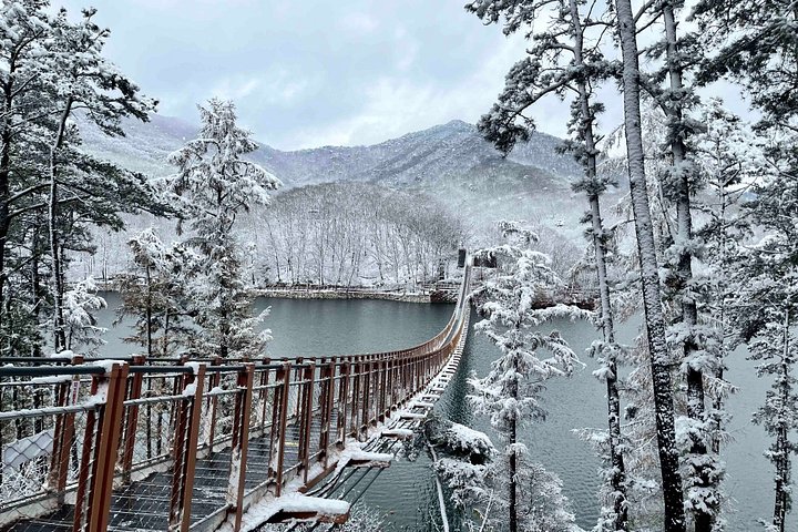 Explorez la DMZ coréenne, y compris les tunnels, les observatoires et les ponts suspendus, avec le témoignage d'un transfuge, photo 9 | wizardtrip