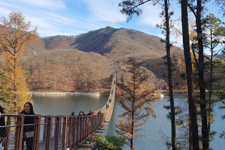 Explorez la DMZ coréenne, y compris les tunnels, les observatoires et les ponts suspendus, avec le témoignage d'un transfuge, photo 27 | wizardtrip