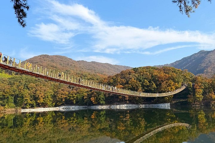Explorez la DMZ coréenne, y compris les tunnels, les observatoires et les ponts suspendus, avec le témoignage d'un transfuge, photo 28 | wizardtrip