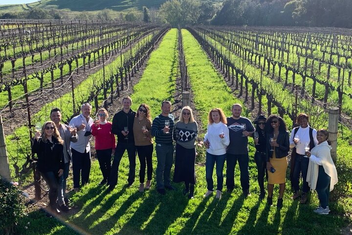 Lille Gruppe: Ultimativ Napa & Sonoma Vinture fra San Francisco | wizardtrip