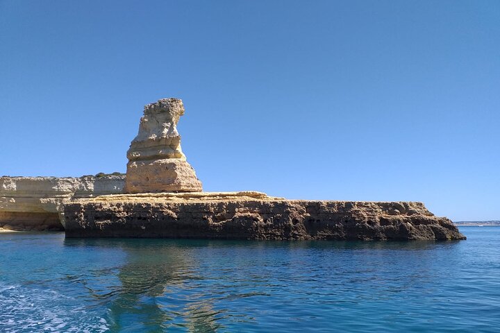 Bootstour entlang der Algarve-Küste zur Beobachtung von Delfinen und Höhlen, Abfahrt von Albufeira, Foto 9 | wizardtrip