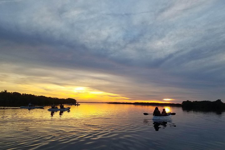 Passeio de caiaque pelos manguezais de Cocoa Beach em busca de golfinhos e peixes-boi, foto 7 | wizardtrip