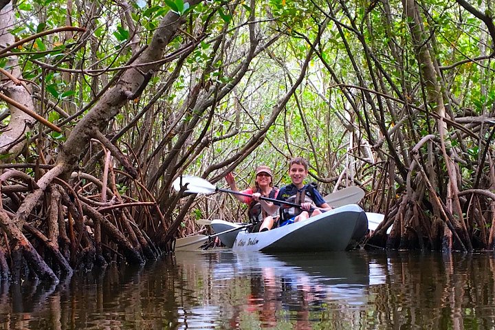 Passeio de caiaque pelos manguezais de Cocoa Beach em busca de golfinhos e peixes-boi, foto 15 | wizardtrip