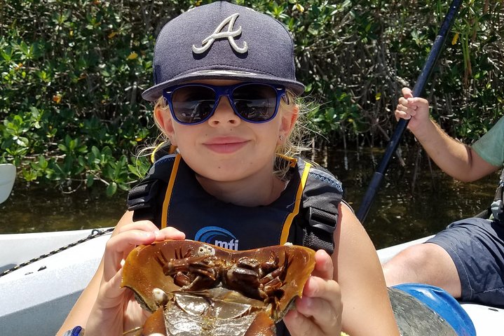 Passeio de caiaque pelos manguezais de Cocoa Beach em busca de golfinhos e peixes-boi, foto 17 | wizardtrip