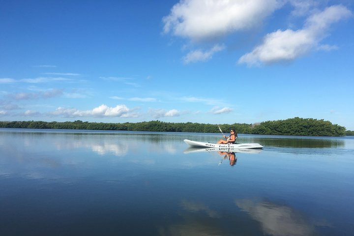Passeio de caiaque pelos manguezais de Cocoa Beach em busca de golfinhos e peixes-boi, foto 25 | wizardtrip