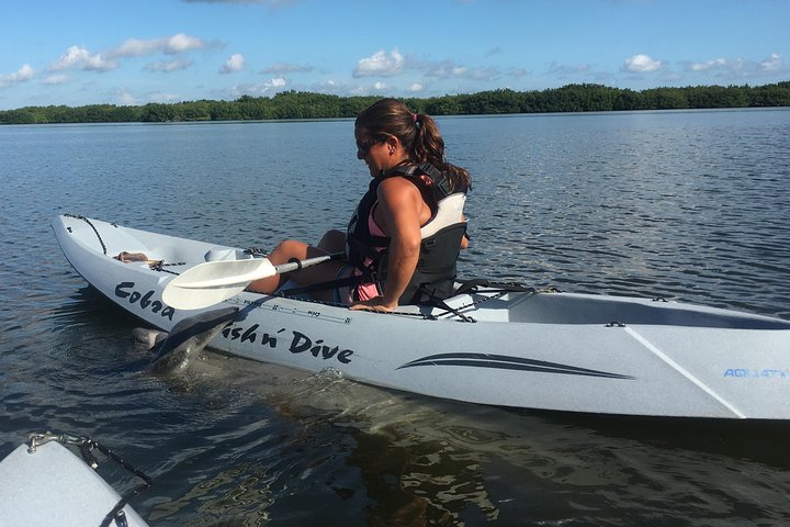 Passeio de caiaque pelos manguezais de Cocoa Beach em busca de golfinhos e peixes-boi, foto 26 | wizardtrip