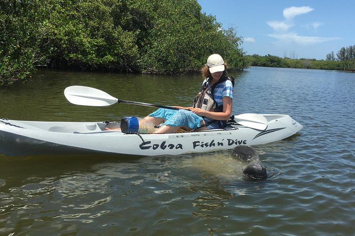Passeio de caiaque pelos manguezais de Cocoa Beach em busca de golfinhos e peixes-boi, foto 27 | wizardtrip