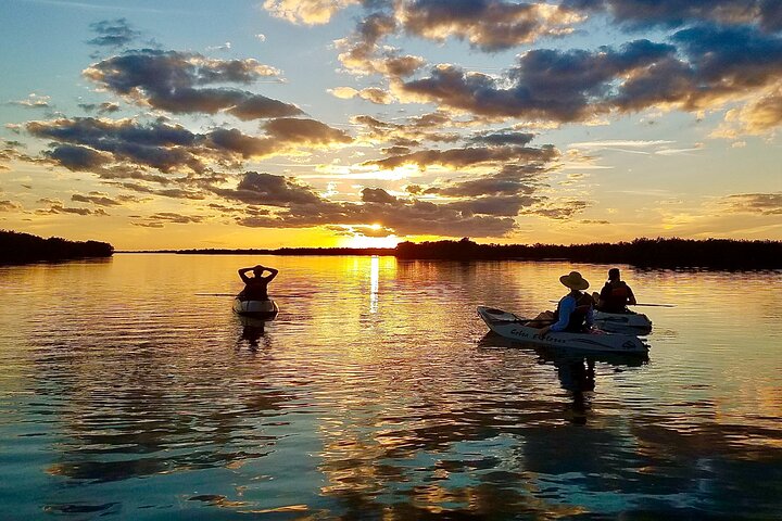 Passeio de caiaque pelos manguezais de Cocoa Beach em busca de golfinhos e peixes-boi, foto 28 | wizardtrip