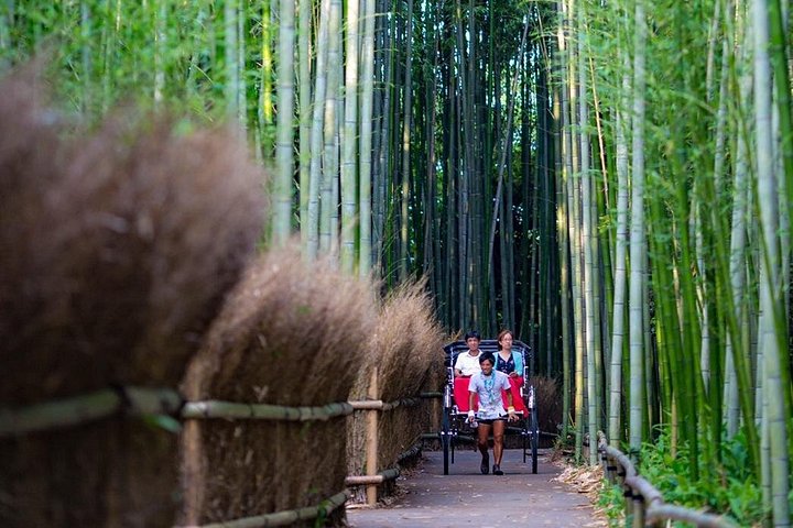Arashiyama Bamboo Forest en cyclo-pousse | wizardtrip