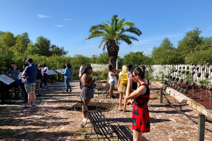 Tour der Whitney Plantation von New Orleans mit Transport, Foto 12 | wizardtrip