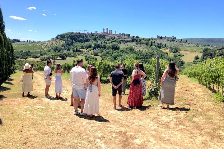 Toscansk vintur med udsigt over vinmarker, vinsmagning og San Gimignano, foto 11 | wizardtrip