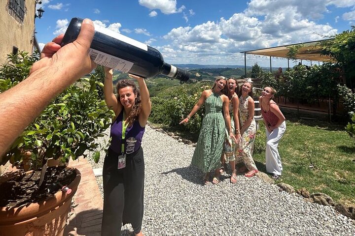 Toscansk vintur med udsigt over vinmarker, vinsmagning og San Gimignano, foto 13 | wizardtrip