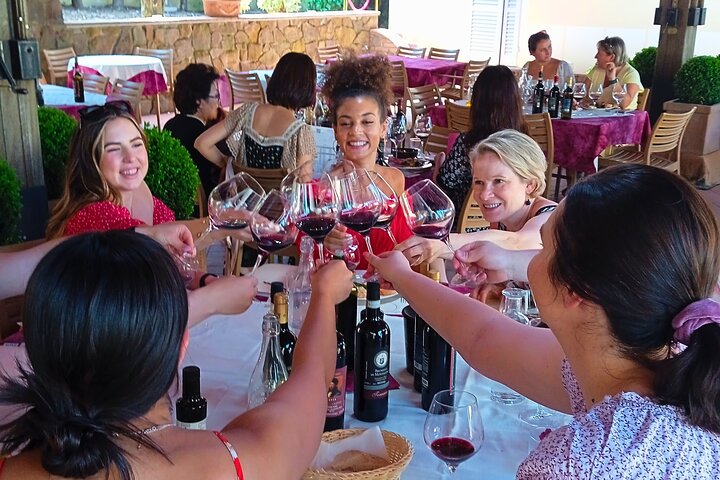 Toscansk vintur med udsigt over vinmarker, vinsmagning og San Gimignano, foto 19 | wizardtrip