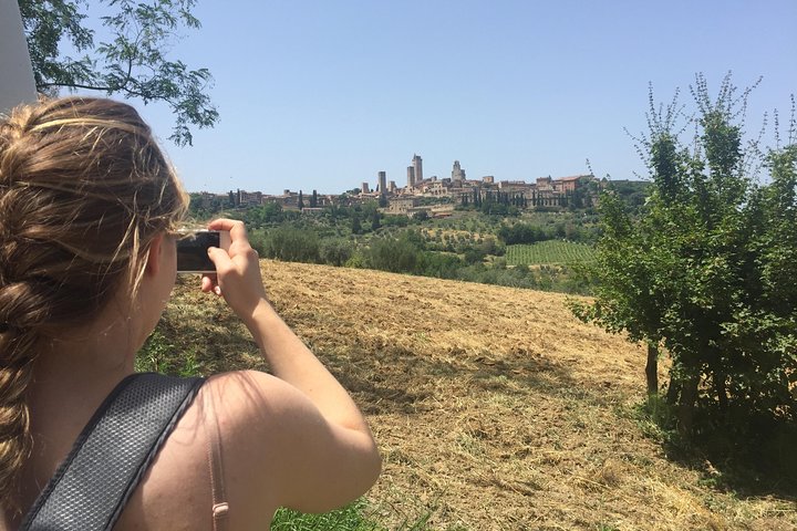 Toscansk vintur med udsigt over vinmarker, vinsmagning og San Gimignano, foto 20 | wizardtrip