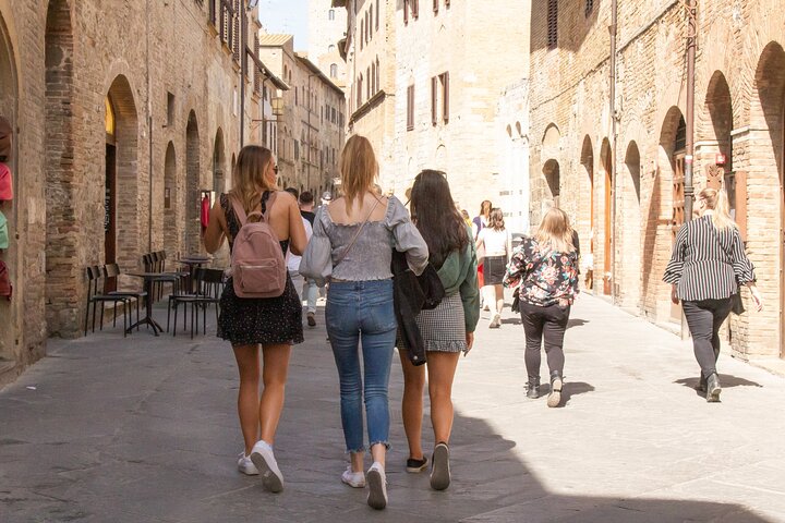 Toscansk vintur med udsigt over vinmarker, vinsmagning og San Gimignano, foto 21 | wizardtrip