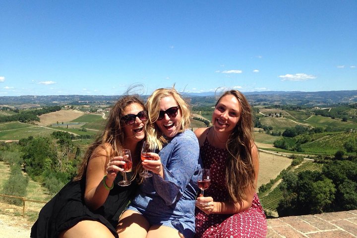 Toscansk vintur med udsigt over vinmarker, vinsmagning og San Gimignano, foto 23 | wizardtrip