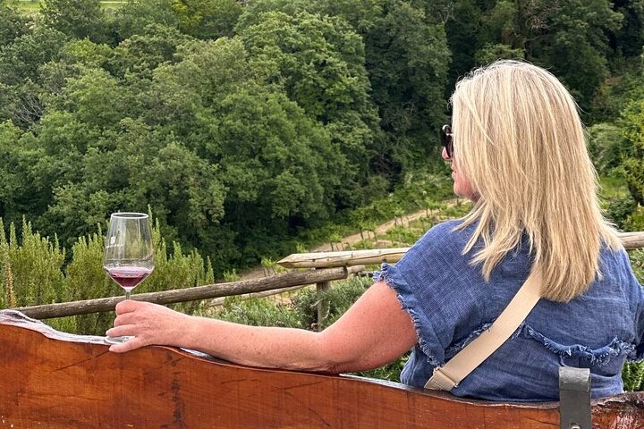 Toscansk vintur med udsigt over vinmarker, vinsmagning og San Gimignano, foto 26 | wizardtrip