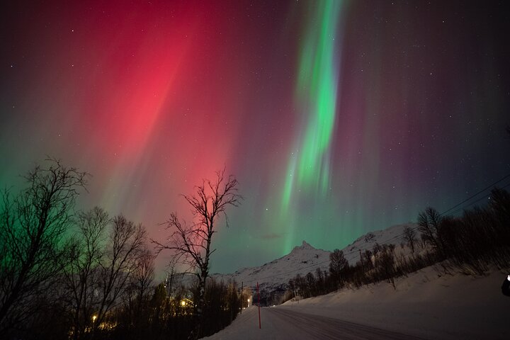 Chasse aux aurores boréales en bus à Tromsø, Norvège, avec guides professionnels et photos incluses, photo 9 | wizardtrip