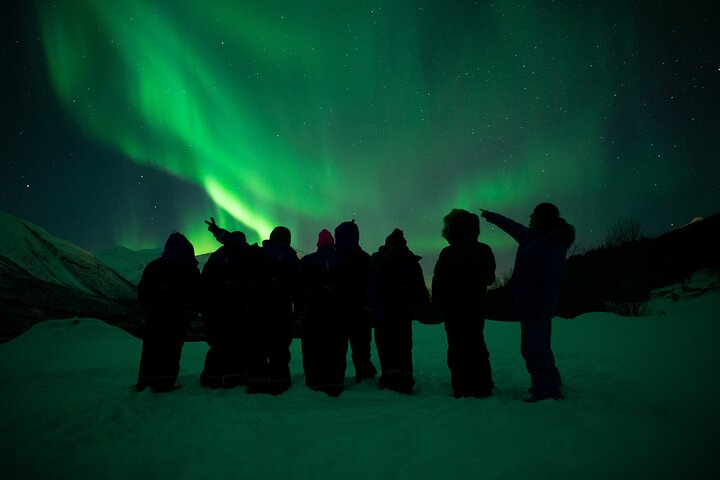 Chasse aux aurores boréales en bus à Tromsø, Norvège, avec guides professionnels et photos incluses, photo 10 | wizardtrip