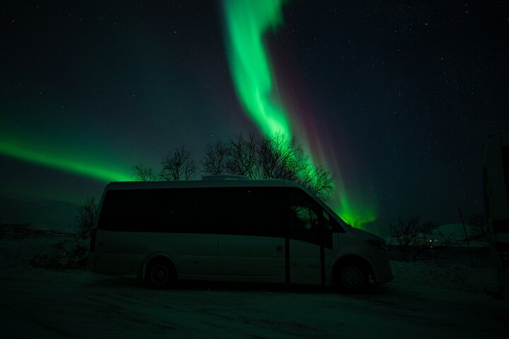 Bekijk de betoverende dans van het noorderlicht tijdens een begeleide minibusjacht vanuit Tromsø, Noorwegen, foto 7 | wizardtrip