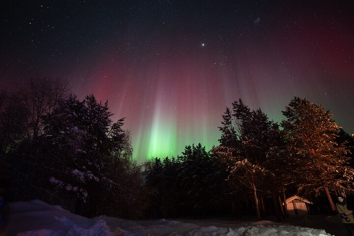 Bekijk de betoverende dans van het noorderlicht tijdens een begeleide minibusjacht vanuit Tromsø, Noorwegen, foto 9 | wizardtrip