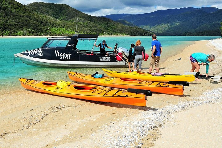 Malerische Bootsfahrt entlang der Abel Tasman Küste in Neuseeland mit goldenen Stränden und einheimischem Wald, Foto 6 | wizardtrip