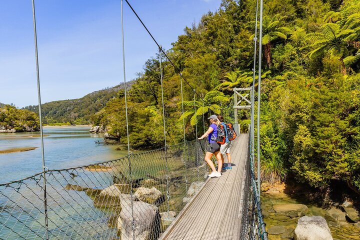 Malerische Bootsfahrt entlang der Abel Tasman Küste in Neuseeland mit goldenen Stränden und einheimischem Wald, Foto 8 | wizardtrip