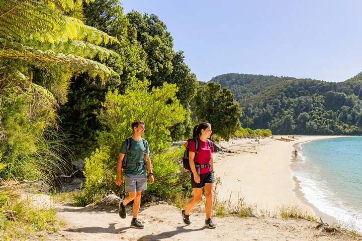 Malerische Bootsfahrt entlang der Abel Tasman Küste in Neuseeland mit goldenen Stränden und einheimischem Wald, Foto 9 | wizardtrip