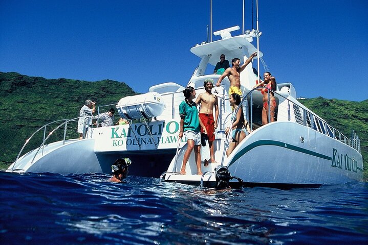 Croisière de Luxe avec Observation de Dauphins et Repas Hawaïen | wizardtrip