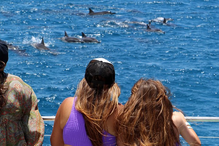 Luksuriøs katamarantur utenfor Oahus kyst, med snorkling, delfinsafari og hawaiisk måltid, foto 19 | wizardtrip