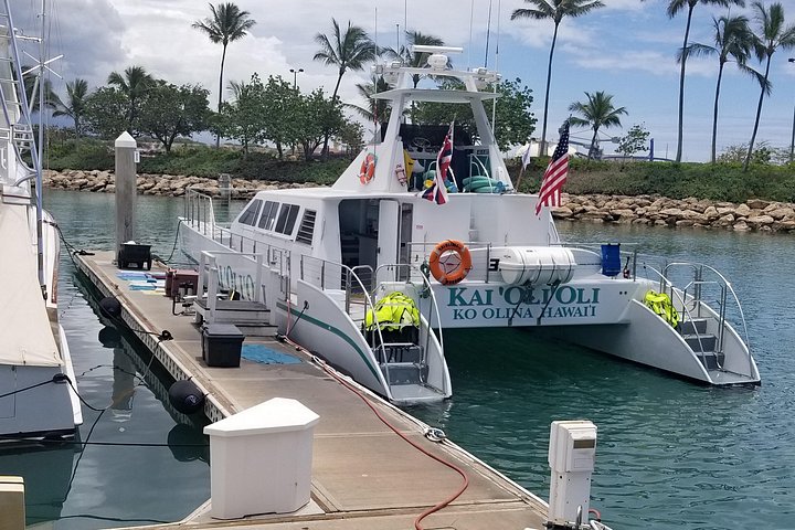 Luksuriøs katamarantur utenfor Oahus kyst, med snorkling, delfinsafari og hawaiisk måltid, foto 21 | wizardtrip