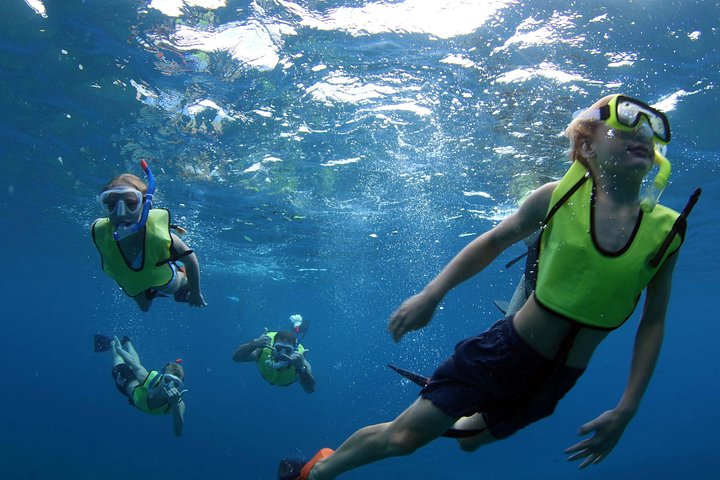Luksuriøs katamarantur utenfor Oahus kyst, med snorkling, delfinsafari og hawaiisk måltid, foto 22 | wizardtrip
