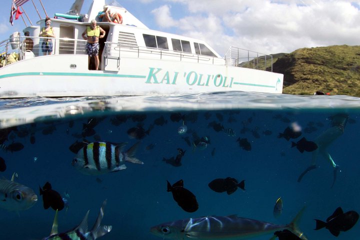 Luksuriøs katamarantur utenfor Oahus kyst, med snorkling, delfinsafari og hawaiisk måltid, foto 25 | wizardtrip