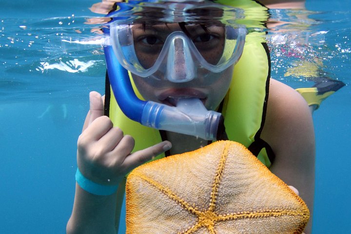 Luksuriøs katamarantur utenfor Oahus kyst, med snorkling, delfinsafari og hawaiisk måltid, foto 26 | wizardtrip