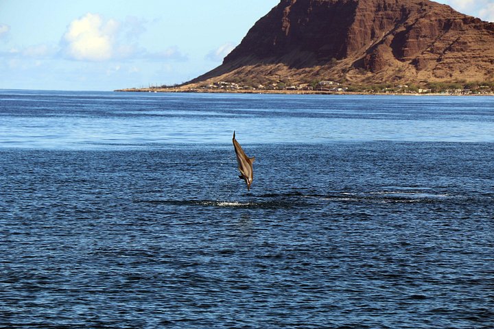 Luksuriøs katamarantur utenfor Oahus kyst, med snorkling, delfinsafari og hawaiisk måltid, foto 28 | wizardtrip