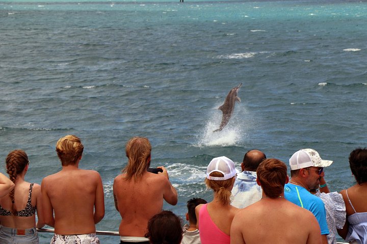 Luksuriøs katamarantur utenfor Oahus kyst, med snorkling, delfinsafari og hawaiisk måltid, foto 29 | wizardtrip