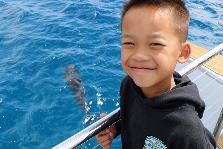 Luksuriøs katamarantur utenfor Oahus kyst, med snorkling, delfinsafari og hawaiisk måltid, foto 31 | wizardtrip
