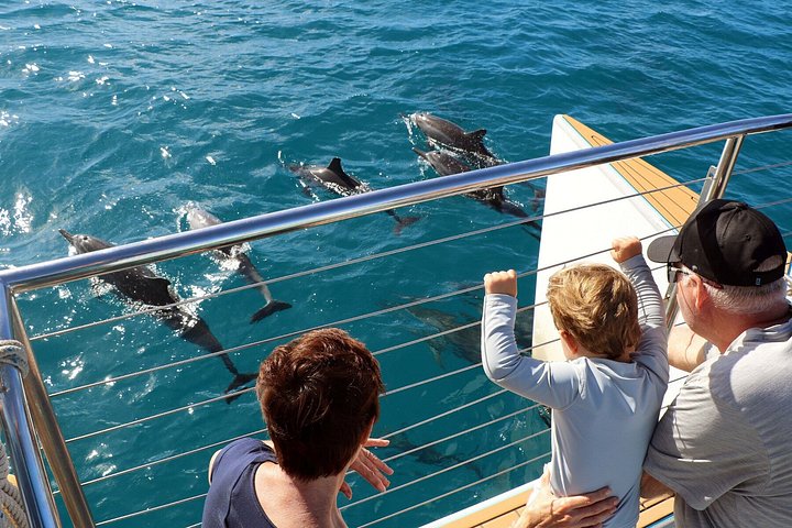 Luksuriøs katamarantur utenfor Oahus kyst, med snorkling, delfinsafari og hawaiisk måltid, foto 36 | wizardtrip